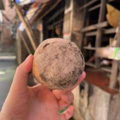 Xincun Senji Tofu Pudding and Soy Milk User Photo