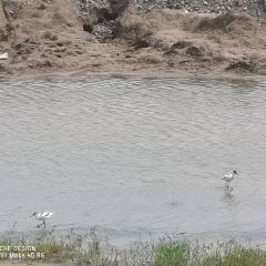 乌梁素海 User Photo