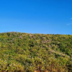 云南人家(大屯店) User Photo