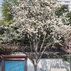 麥當勞（常州西瀛裡店）張用戶圖片