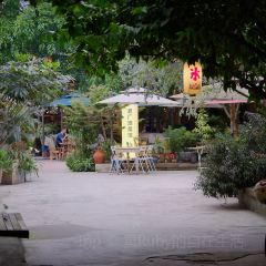 天福美院·老厂酒菜馆(天福街店) User Photo