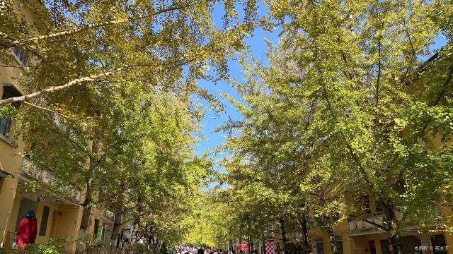 Golden Avenue