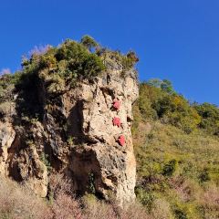 跳菜人家 User Photo