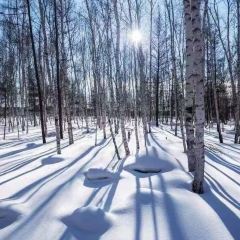 黑山头 User Photo