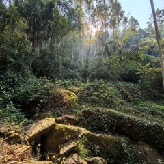 山涧别院 User Photo