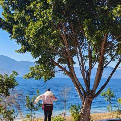 抚仙湖·自在汐岸咖啡餐吧 User Photo