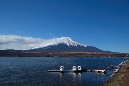 THE PARK 山中湖店