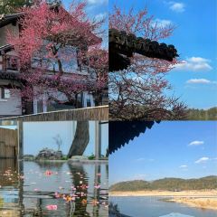 桃咖啡馆 User Photo