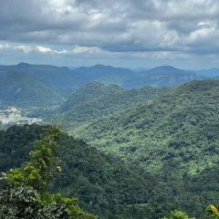 PenLaos User Photo
