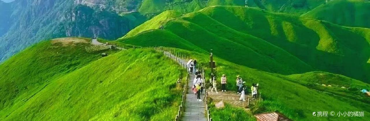 WEI PING XIANG SI GU CAI GUAN