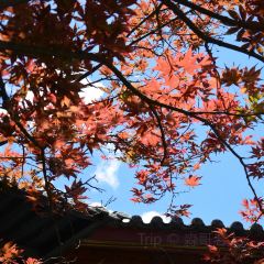 星荣私厨定制餐厅 User Photo