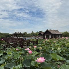 沙家浜酒家(沙家浜景区店) User Photo