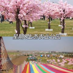 Qianjiang Ecology Lobster City User Photo