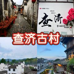 观度文里咖啡 User Photo