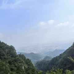 國華糝館張用戶圖片