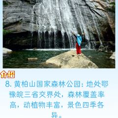 WEN XIN CHA ZHUANG YUAN User Photo