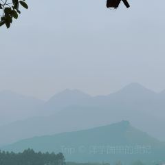 供销社大饭堂 User Photo