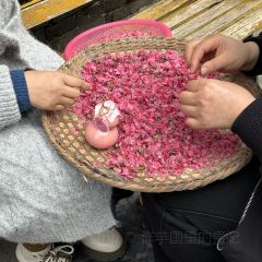 供销社大饭堂 User Photo