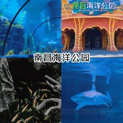 QI ZHI WEI LU ROU JUAN User Photo