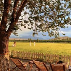 六月瓣咖啡 User Photo