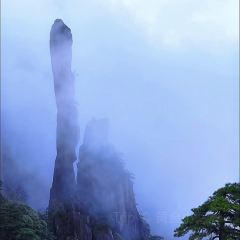 LAO MA CAI User Photo