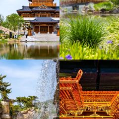 TAI HU YING XIANG User Photo