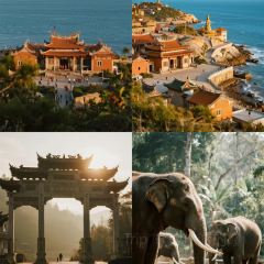 RONG CUISINE User Photo