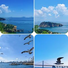 RI YUE SHENG YU JIA CAI User Photo
