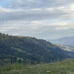 草原羊羔肉 User Photo