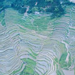 荣村农家乐 User Photo