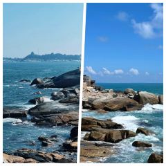 TIANCHENG NEST,SHARK-FINE&ABALONE User Photo