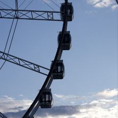 The Tropic User Photo