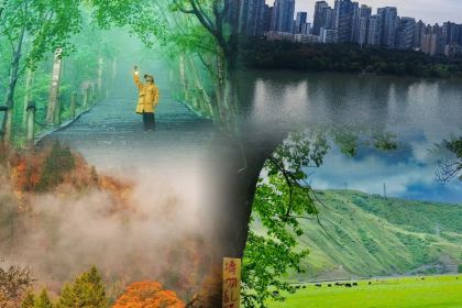 光头烧烤(绥山东路南二街店)