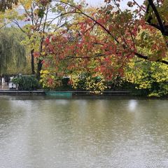 CHEN NIANG NIANG User Photo