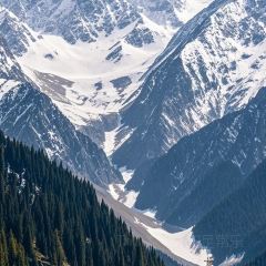 위 가문의 새끼 여행 사진