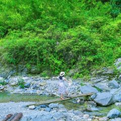 川步烧烤园 User Photo