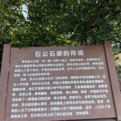 茶山天然居 User Photo