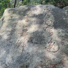 何記香辣跳跳蛙（蒸陽南路店）張用戶圖片