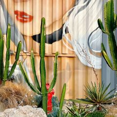 MOSKEY摩司基机车·咖啡·烧烤·精酿(麓湖店) User Photo