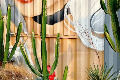 MOSKEY摩司基机车·咖啡·烧烤·精酿(麓湖店)