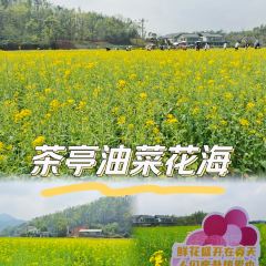 油菜花院子(万家丽店) User Photo