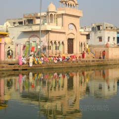 Dominos Restaurant, Mathura User Photo