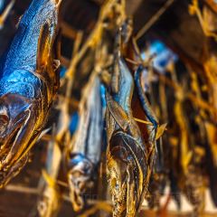 Kikkawa張用戶圖片