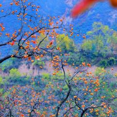 牛华周记麻辣烫(乐山旗舰店) User Photo