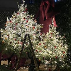 Cooperland User Photo