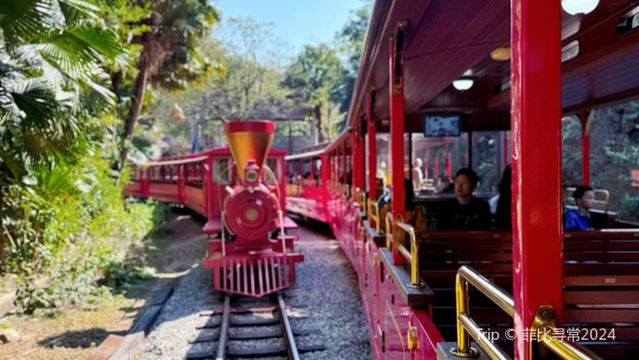 sen lin xiao huo che