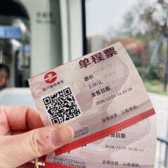 Seeing Tea User Photo