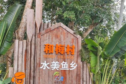 和梅水塔咖啡店