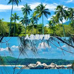 天程知味园 User Photo