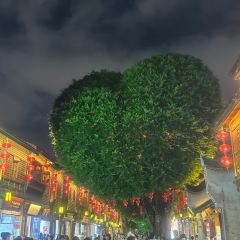 Qilinshuju User Photo